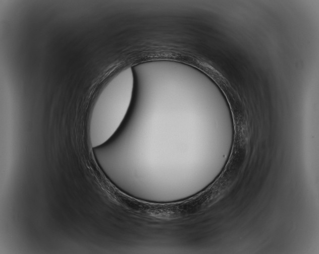 X0000086720729200704130727