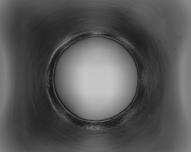 X0000086720730200704130727