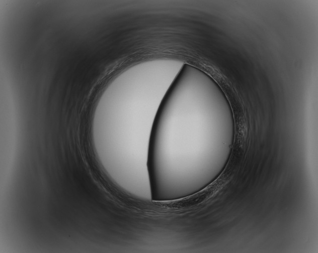 X0000086720734200704130728