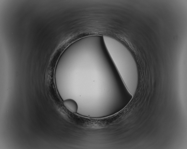 X0000086720736200704130728