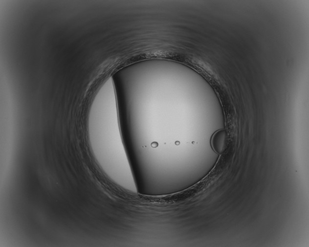 X0000086720738200704130728