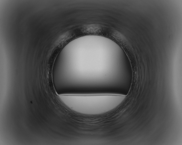 X0000086720739200704130728