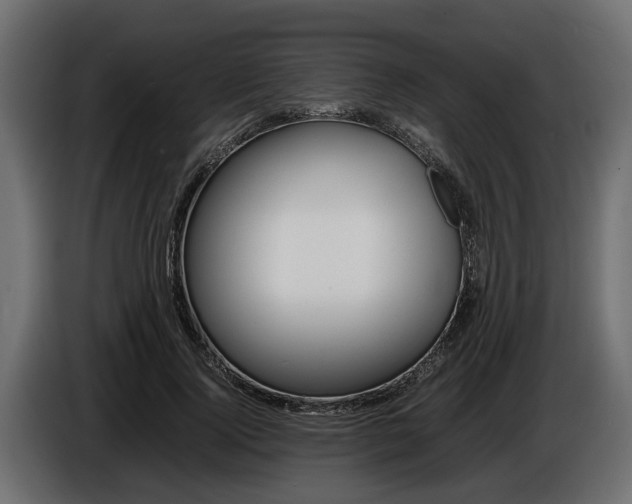 X0000086720740200704130728