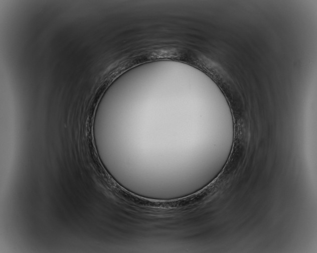 X0000086720741200704130728