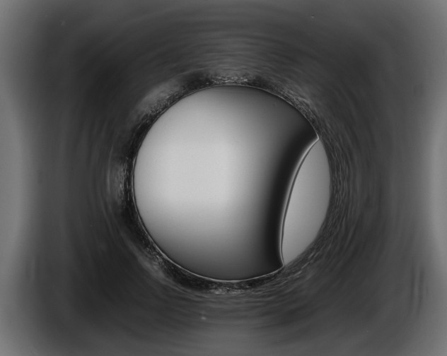 X0000086720742200704130728
