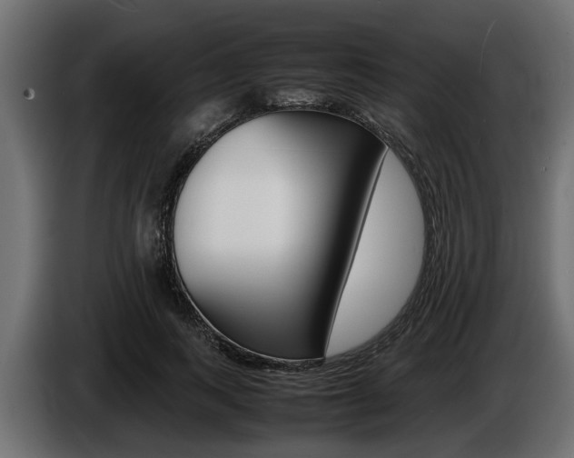 X0000086720743200704130728