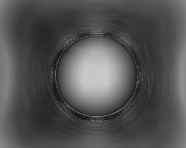 X0000086720744200704130728