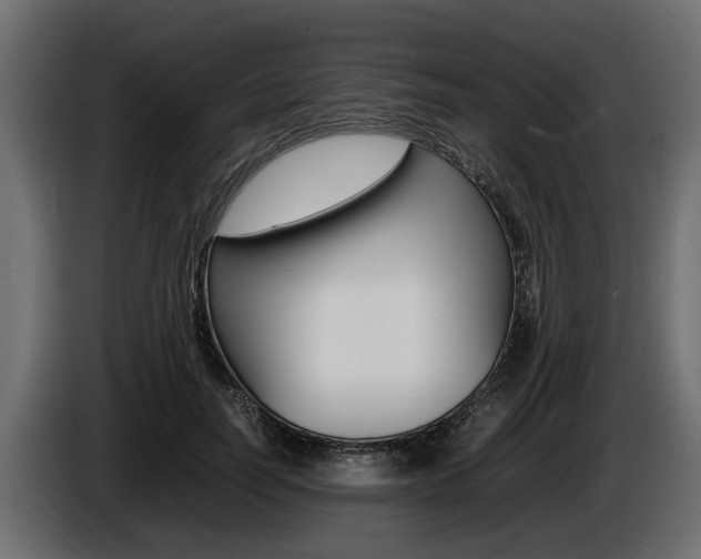 X0000086720746200704130728
