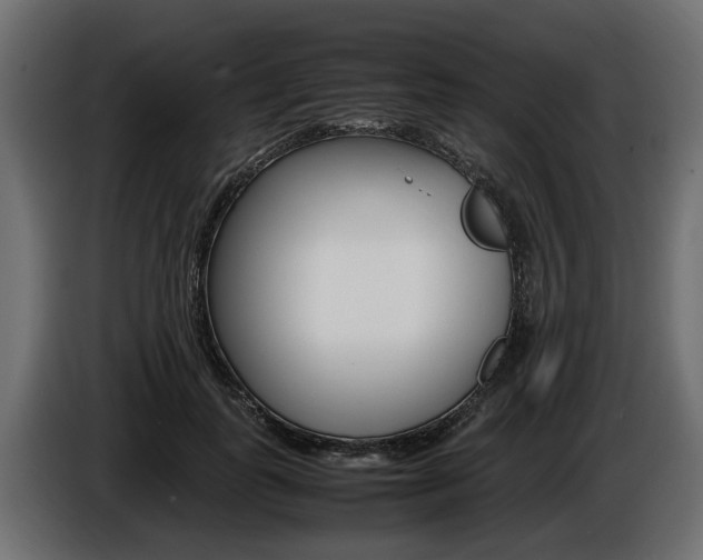 X0000086720747200704130728