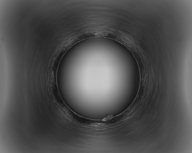 X0000086720748200704130728