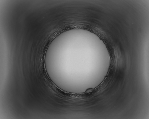 X0000086720749200704130728