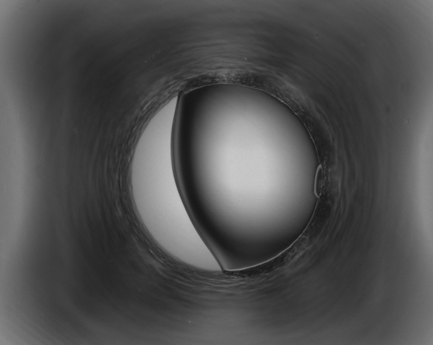 X0000086720750200704130728