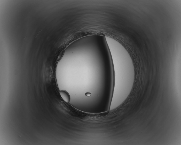 X0000086720752200704130728