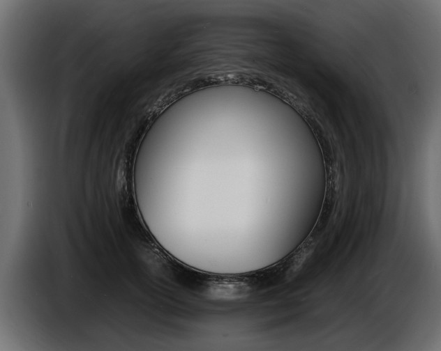 X0000086720754200704130728