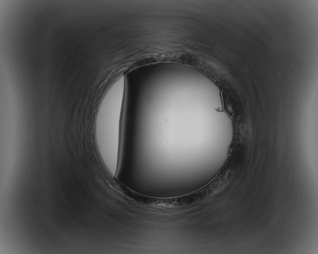 X0000086720756200704130728