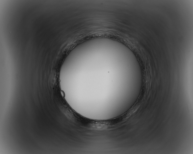 X0000086720758200704130728
