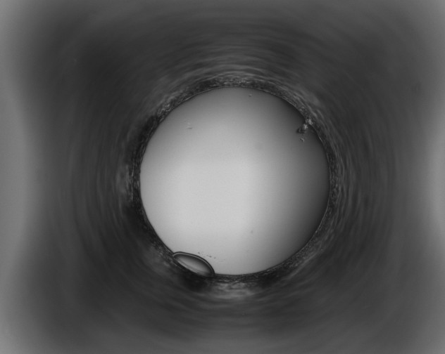 X0000086720759200704130728