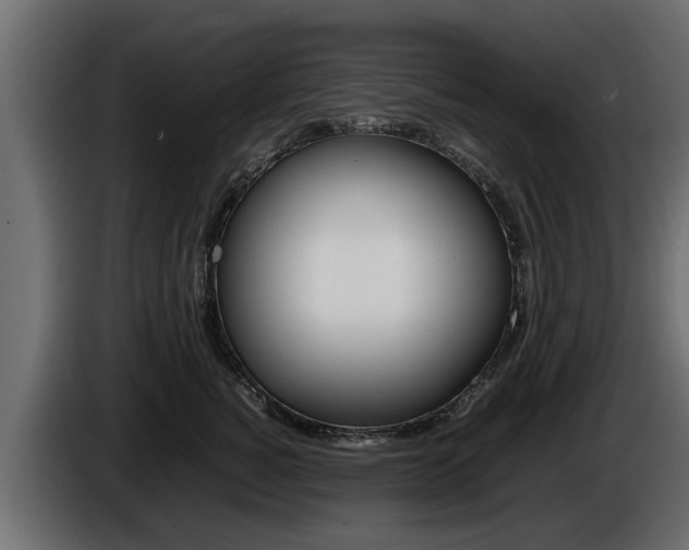 X0000086720760200704130728