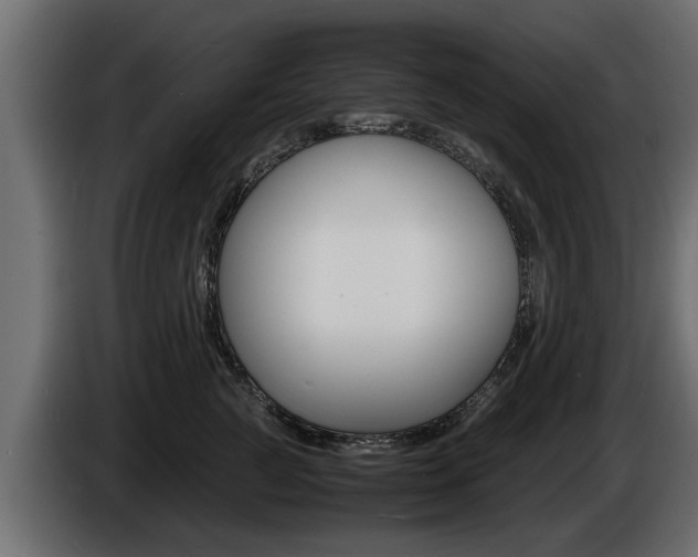 X0000086720761200704130728