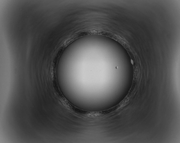 X0000086720762200704130728