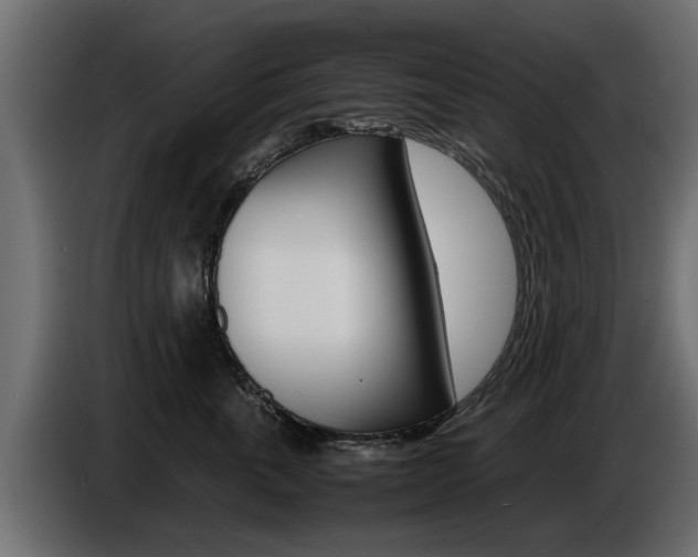X0000086720763200704130728