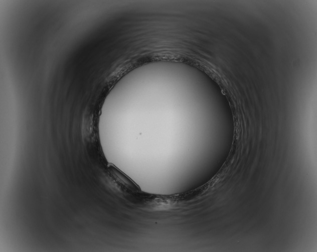X0000086720764200704130728