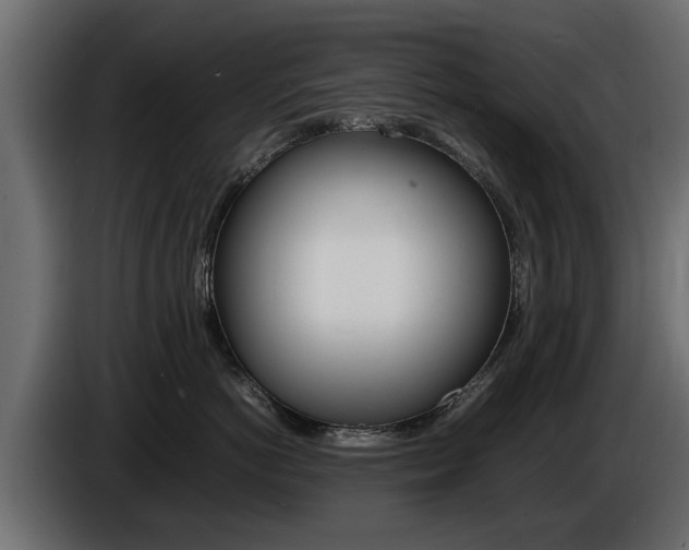 X0000086720766200704130728