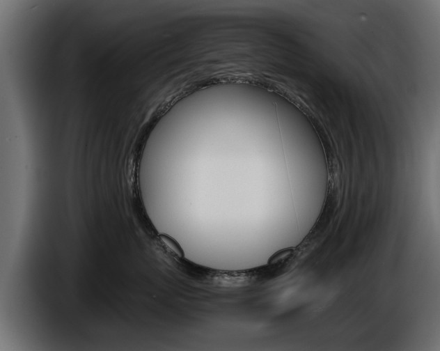X0000086720767200704130728