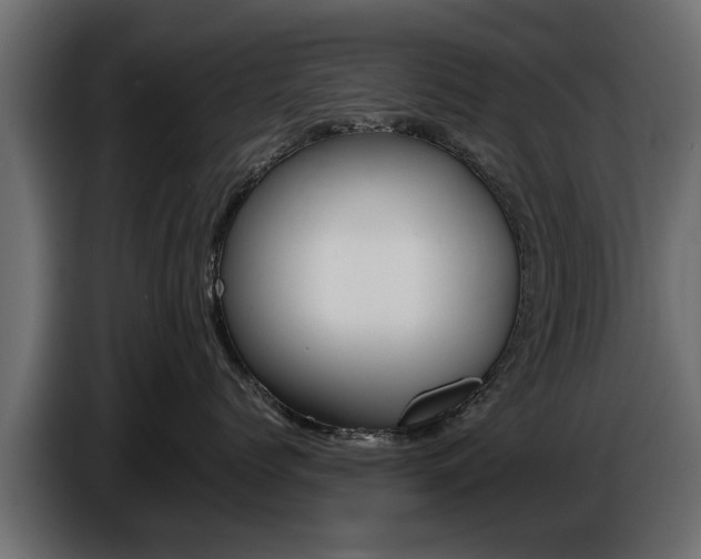 X0000086720768200704130728