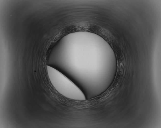 X0000086720772200704130727