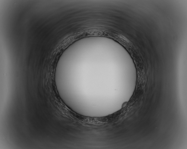 X0000086720774200704130727