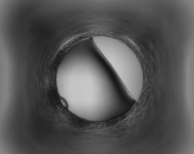 X0000086720775200704130727