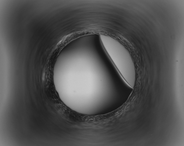 X0000086720776200704130727