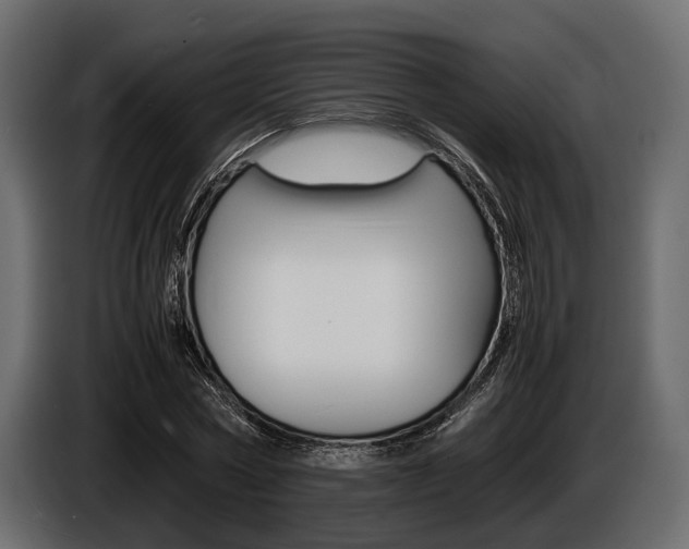 X0000086720778200704130727