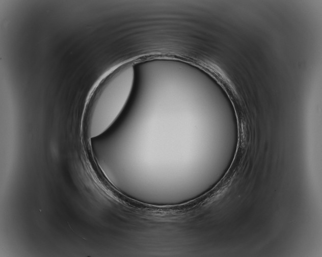 X0000086720780200704130727