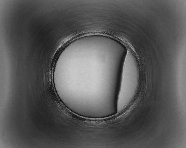X0000086720781200704130727