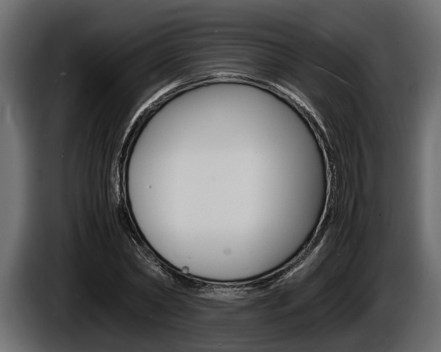 X0000086720782200704130727
