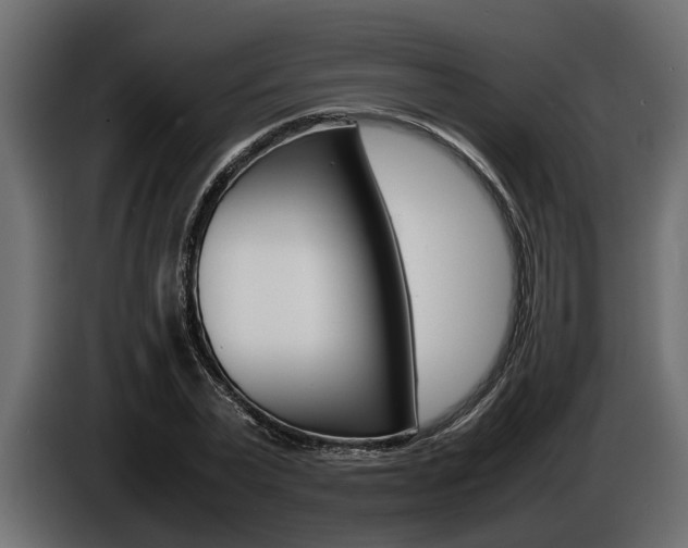 X0000086720783200704130727
