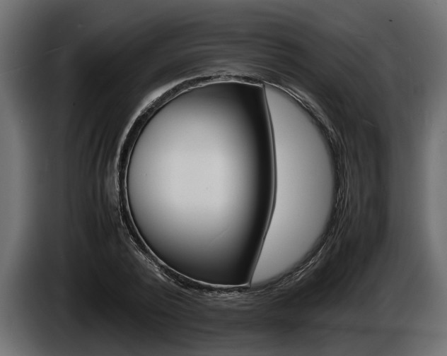 X0000086720784200704130727