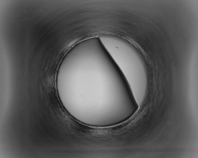 X0000086720785200704130727