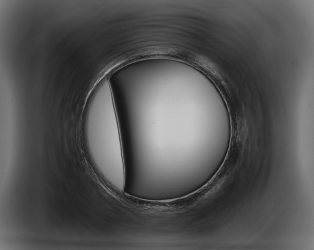 X0000086720786200704130727