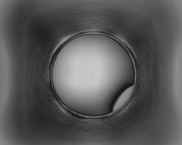 X0000086720789200704130727