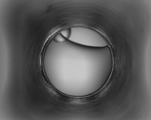 X0000086720790200704130727
