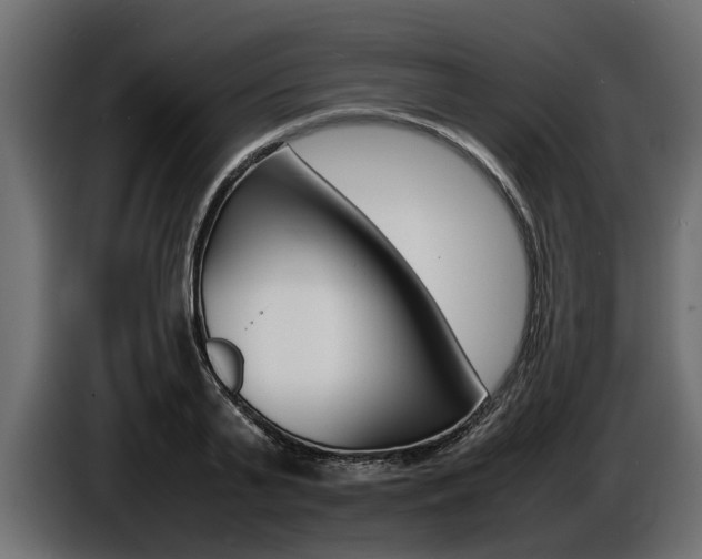 X0000086720791200704130727