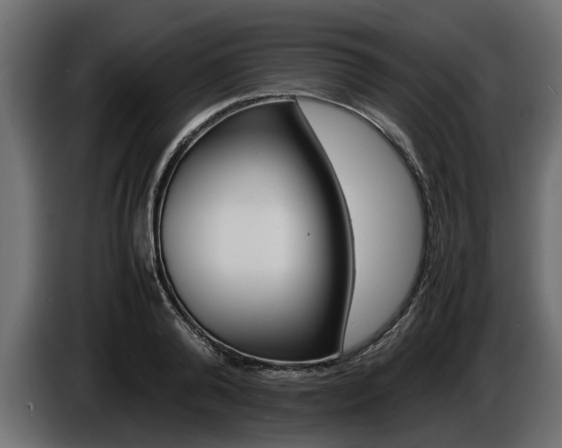 X0000086720792200704130727