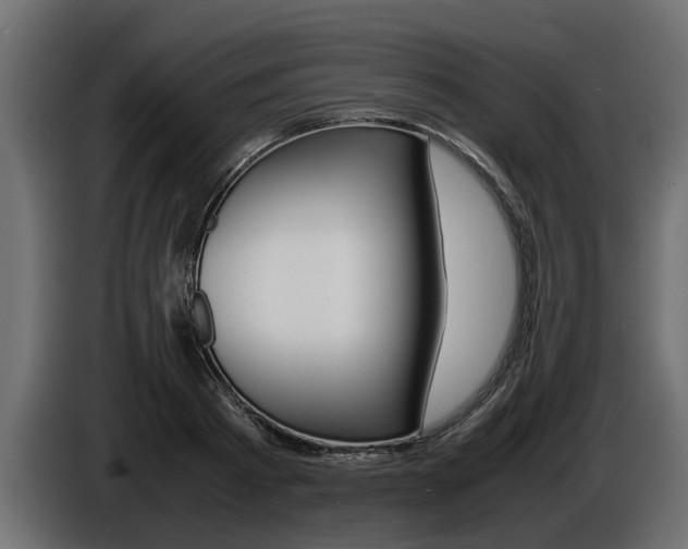 X0000086720793200704130727