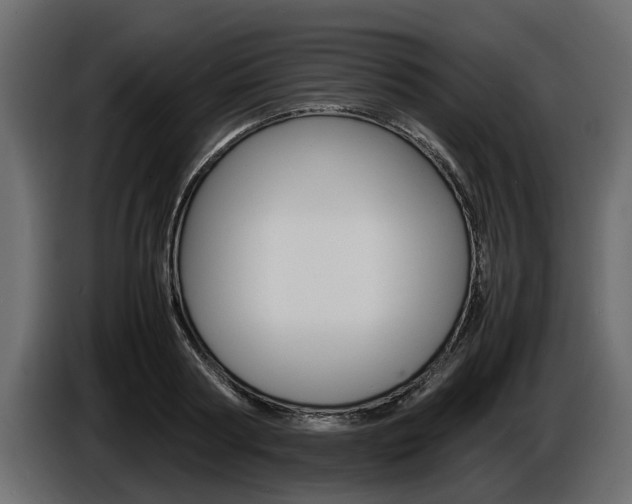 X0000086720794200704130727