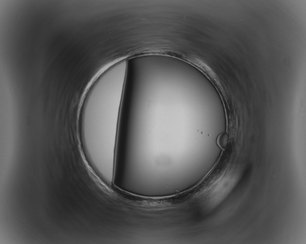 X0000086720795200704130727