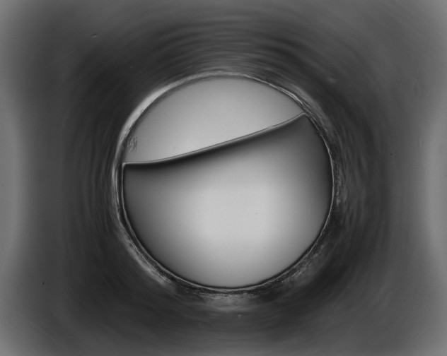 X0000086720796200704130727