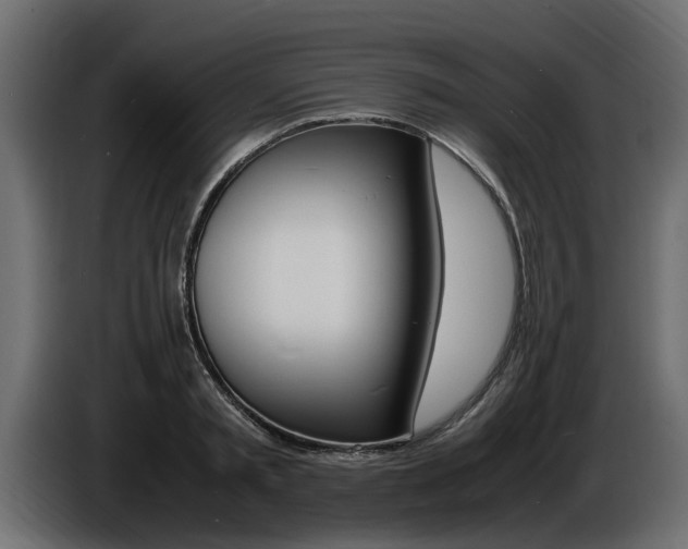 X0000086720797200704130727